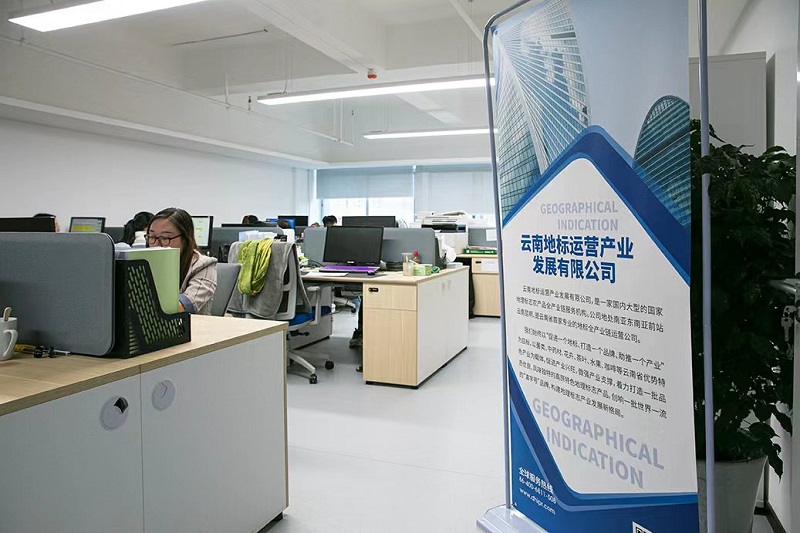 杨斌 讲好地标故事，助力云南地标产品品牌打造——以咨询策划服务为核心视角